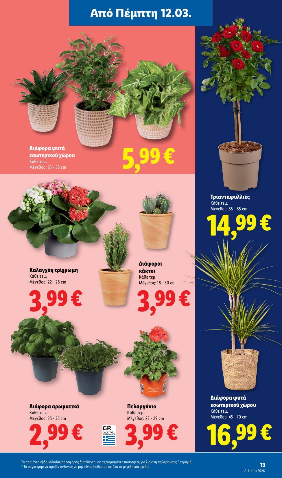 Lidl - Page 61