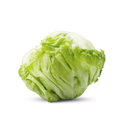 Iceberg