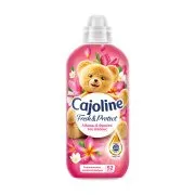 CAJOLINE Intense Care Μαλακτικό Ρούχων Συμπυκνωμένο Λίλιουμ & Φρούτα του Δάσους 52 μεζούρες