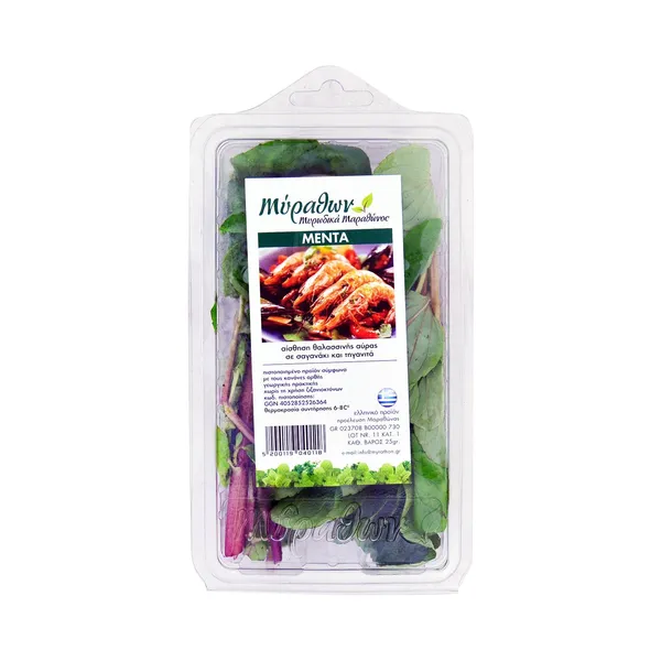 Μέντα Εγχώρια 25g