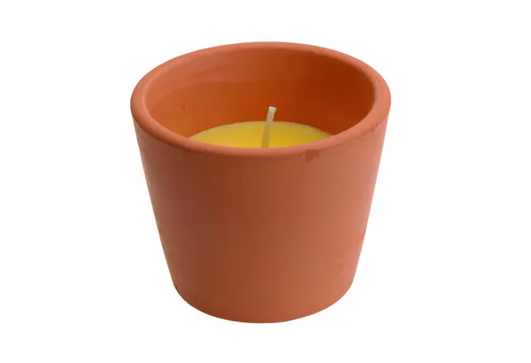 Citronella σε πήλινο κασπώ No5B