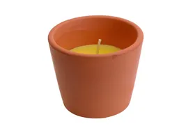 Citronella σε πήλινο κασπώ No5B