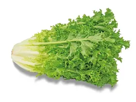 Αντίδια 1 kg