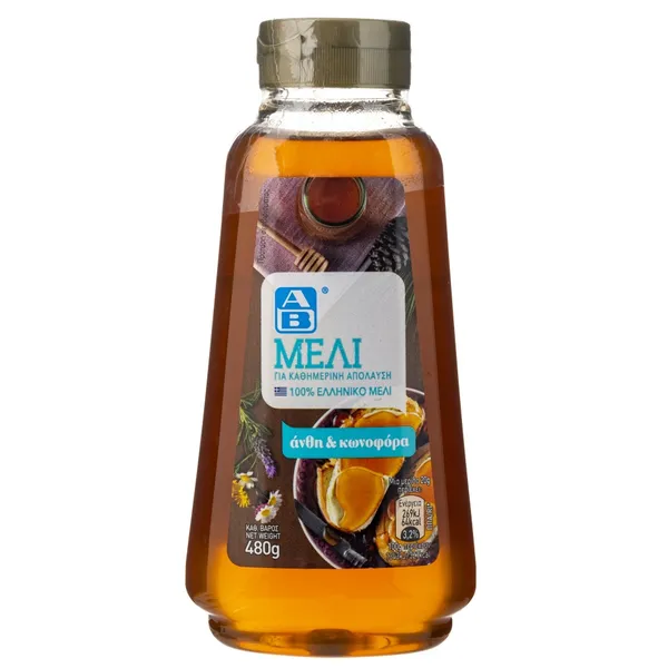 ΜΕΛΙ από άνθη & κωνοφόρα squeeze 480g