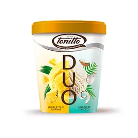 TONITTO gelato 1λιτ • cassata/tiramisu/yellow vanilla/spangola