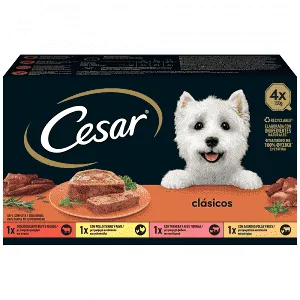 Cesar Special Adult Γαλοπούλα & Μοσχάρι Για Σκύλους 4x150gr