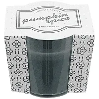 Saitis Κερί Ποτήρι Πλαστικό Γκρί Pumpkin Spice 180gr