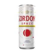 Gordon's Space 250ml.