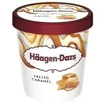 HAAGEN DAZS Παγωτό Salted Caramel 400g