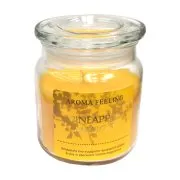 Αρωματικό Κερί Βαζάκι 11εκ Pineapple Mango