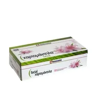 ECONOMY Χαρτομάντηλα Facial 2 Φύλλων 100τεμ. 132gr