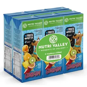 Χυμός Nutri Valley (6x250ml) Δώρο