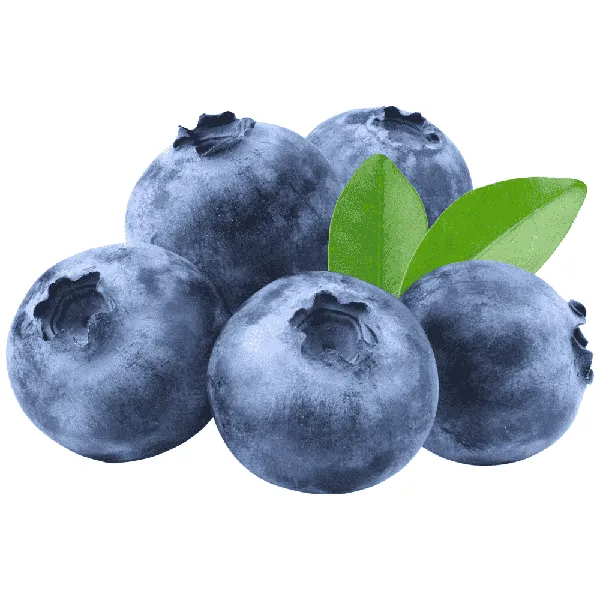 ΜΥΡΤΙΛΑ ελληνικά 125g