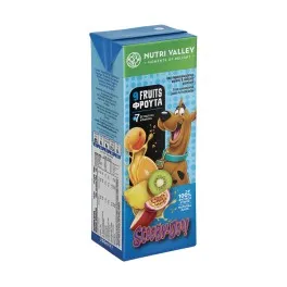 Παιδικός χυμός SCOOBYDOO 9 FRUITS & RED FRUITS 250ml