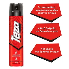 Εντομοκτόνο ΤΕΖΑ universal σπρέι 2 in 1 300ml