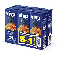 Viva Way Φυσικός Χυμός 9 Φρούτα 250ml 5+1 Δώρο