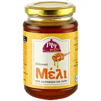 My Gusto Μέλι Ανθέων & Κωνοφόρων 450gr