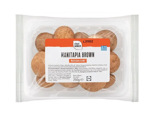 Ελληνικά μανιτάρια brown