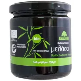 Μελάσα από Ζαχαροκάλαμο 550g Evergreen Bio