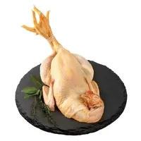 AMADORI Κοκόρια Νωπά Ιταλίας 1 kg