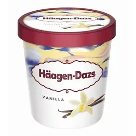 HAAGEN DAZS Παγωτό Βανίλια 400g