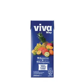 9 φρούτα χυμός 250ml