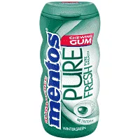 Mentos Pure Fresh Pocket Bottle Wintergreen Τσίχλες 28gr