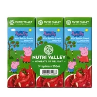 NUTRI VALLEY Peppa Χυμός Μήλο Φράουλα Σταφύλι 3x250ml