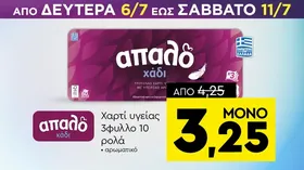 Χαρτί κουζίνας ΠΙΓΑΣ 340 φύλλα