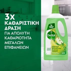 Πολυκαθαριστικό Μεγάλων Επιφανειών Αντιβακτηριδιακό 1L