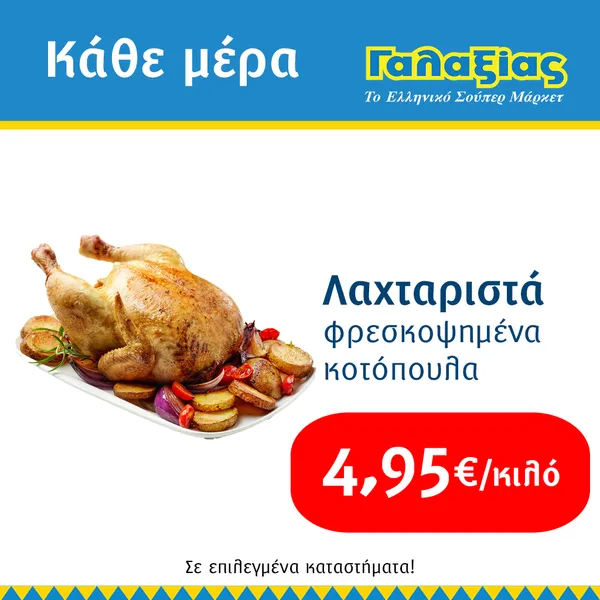 Φλογέρα με κοτόπουλο 165γρ.