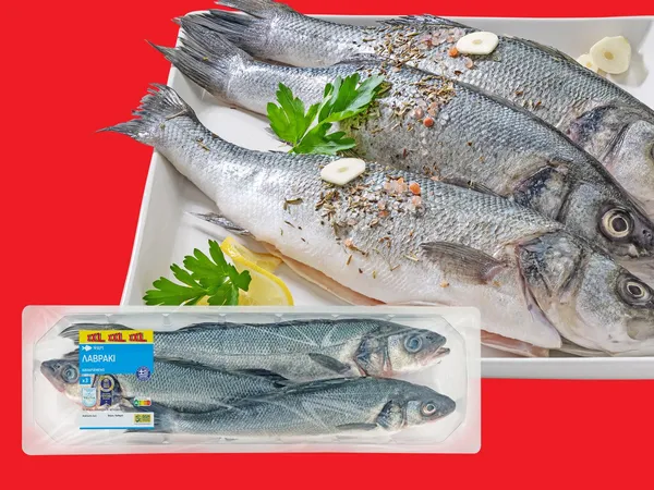 Λαβράκι μεγάλο ελληνικό