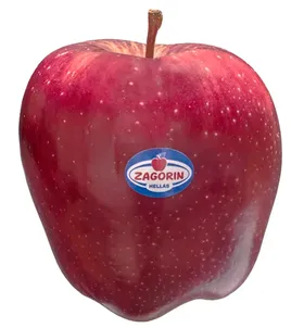 ΖΑΓΟΡΑΣ Μήλα συσκ. 2κιλά