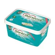Λευκό BENECOL σε Άλμη 300g