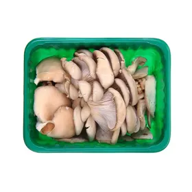 Μανιτάρια Πλευρώτους Βιολογικά Εγχώρια 400g