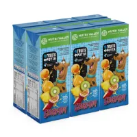 Χυμός 9 Φρούτα Scooby Doo Nutri Valley 6x250 ml