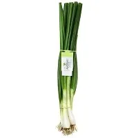 Άρωμα Κρεμμυδάκι Φρέσκο Ματσάκι Εγχώριο 140gr