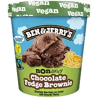 Ben & Jerrys Non-Diary Chocolate Fudge Brownie 385gr