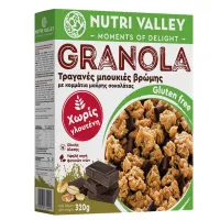 Granola Gluten Free Dark Choco Nutri Valley 320g