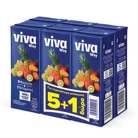 Viva Way Φυσικός Xυμός 9 Φρούτα 250ml. 5+1Δώρο