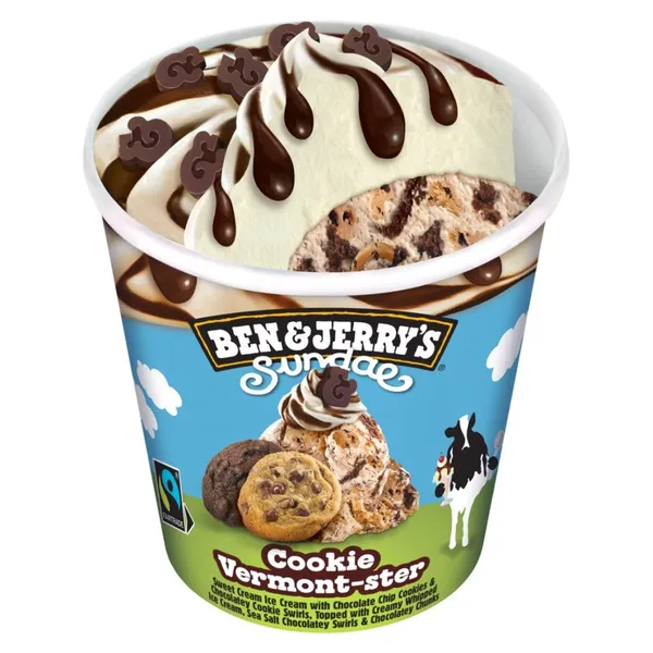 BEN & JERRY'S Sundae Cookie 427ml (324gr)