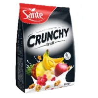 Δημητριακά Crunchy με Φρούτα, Sante 350g