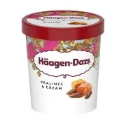 HAAGEN-DAZS Παγωτό Pralines & Cream 400g (460ml)