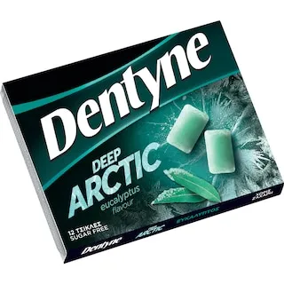 DENTYNE Τσίχλες Deep Arctic Ευκάλυπτος 16.8g