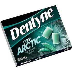 DENTYNE Τσίχλες Deep Arctic Ευκάλυπτος 16.8g