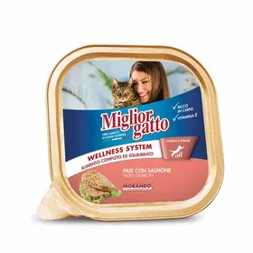 Miglior Gatto Γατοτροφή Σολομός 100γρ.