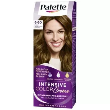 PALETTE Βαφή Μαλλιών N6.60 Ξανθό Σκούρο Χρυσαφί Σοκολάτα