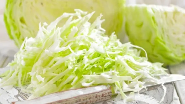 Λάχανο άσπρο