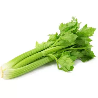 Σελερι Εγχωρια 1 kg