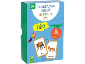 Παιχνίδι με κάρτες 1 τεμ.